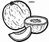 Melon Cantaloupe Melones Papaya sketch template
