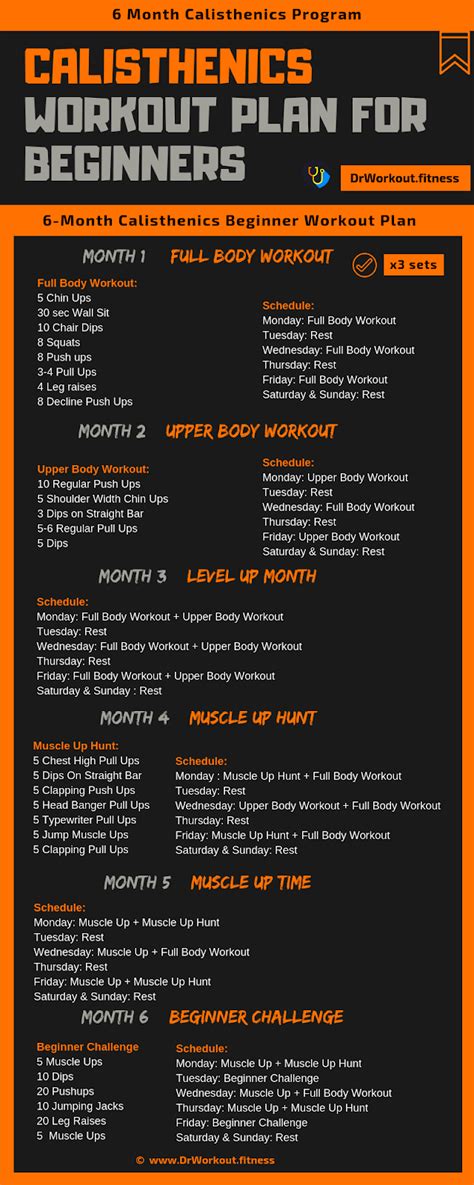 calisthenics workout plan  beginners  month calisthenics program dr workout