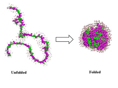 protein folding  degradation biochemistry medbullets step