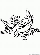 Oiseau Branche Oiseaux Profil Espacekid Visiter Coloriages sketch template