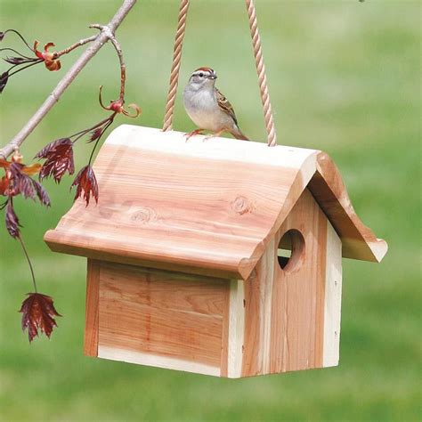 hang  wren bird house birdhouse designs birdhouse ideas birdhouses quality garden