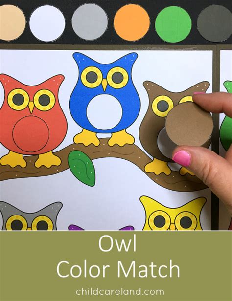 owl color match file folder game  color recognition skills