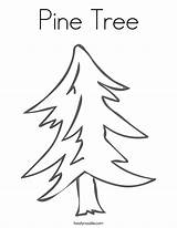 Coloring Pine Tree Popular sketch template