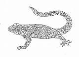 Lizard Drawing Line Coloring Paintingvalley Drawings sketch template