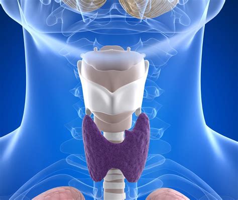 celiac  thyroid disease share  common trigger