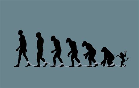 Definición De Evolución Qué Es Su Significado Y Concepto
