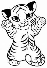 Tigre Pintar Tigres Recortar Faça Brincadeira Criançada Agitar Esses Imprima ótimos sketch template