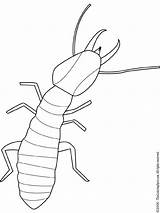 Termite Coloring Bug Outline Pages Embroidery Insect Termites Drawing Patterns Drawings Colouring Pixels Lightupyourbrain Bugs Insects Printables Kids sketch template