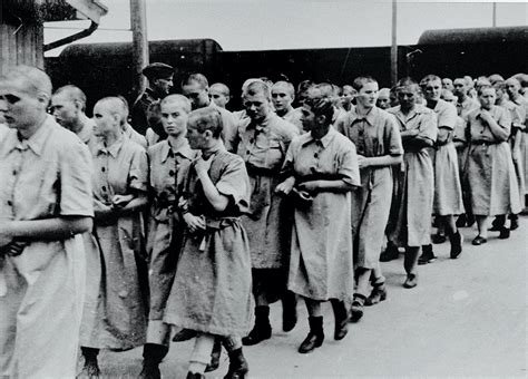 Por Que Mulheres Não Menstruavam Em Campos De Concentração Nazistas