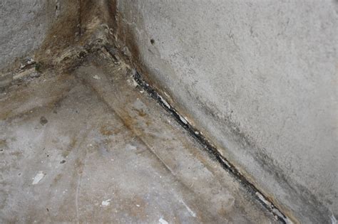 quick tips  repair leaks  concrete foundations  basements