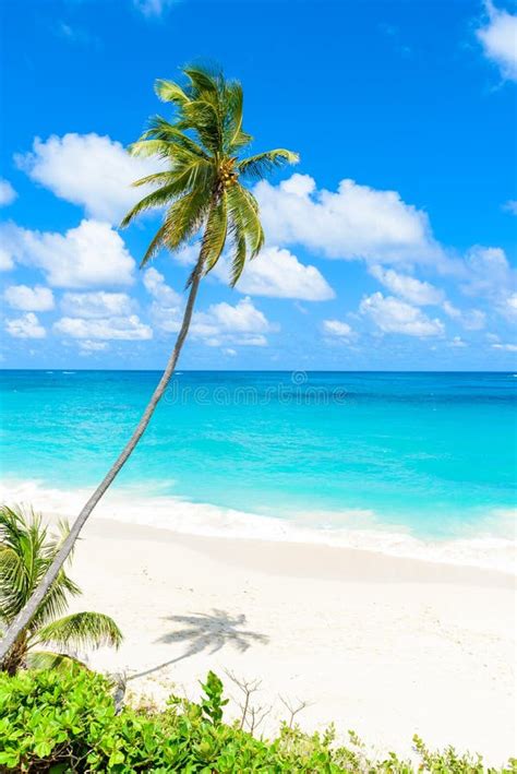 Bottom Bay Barbados Paradise Beach On The Caribbean Island Of