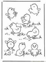 Coloring Chick Pages Cute Chicks Baby Getcolorings Color Printable sketch template