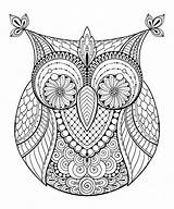 Pages Coloring Owl Zentangle Mandala sketch template