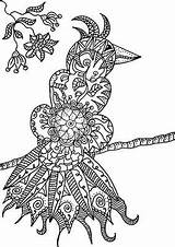 Coloring Pages Zentangle Choose Board sketch template