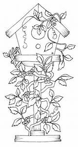 Coloring Pages Birdhouse Vines Embroidery Bird Birdhouses Book Houses Adult Beccy Patterns Pajaros Country Printable Beccysplace Color Stamps Print Casa sketch template