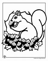 Squirrel Coloring Fall Pages Printable Thanksgiving Kids Woojr Activity Activities Autumn Print Woo Jr sketch template
