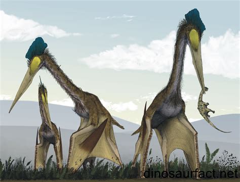 quetzalcoatlus dinosaur