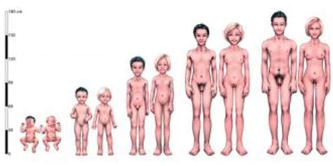 nude photos of female stages of puberty