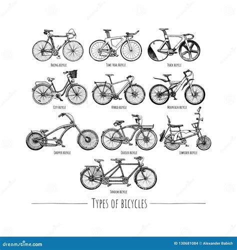 types  bikes vector illustration cartoondealercom