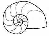 Nautilus Coloriages Mollusks Printmania sketch template