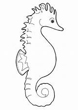 Seahorse Coloring Printable Pages Sheet Sea Horse Clipart Simple sketch template