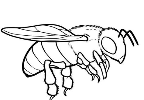 printable honey bee coloring pages