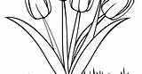 Tulip Mewarnai Mudah Mewarna Sketsa Diwarnai Diprint Bisa Terpopuler Tk Pekeliling Berikut Ambil Senarai Menarik sketch template