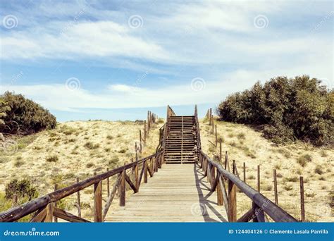 steps  beach access  sand dunes stock photo image  holiday