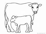 Krowy Wydrukowania Kolorowanki sketch template