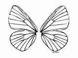 Wings Coloring Butterfly Fairy Pages Wing Drawing Printable Color Outline Template Thedrawbot Colouring Angel Getdrawings Colour Clip Print Cliparts Clipart sketch template