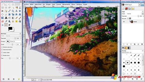 gimp  windows xp  bit  english