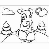 Setter Irish Coloring Pages Getcolorings sketch template
