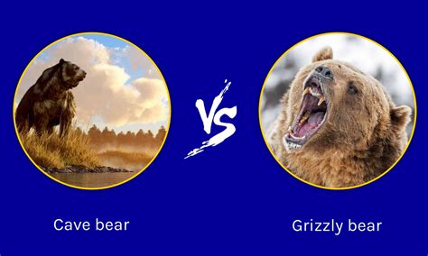 epic battles cave bear  grizzly bear az animals
