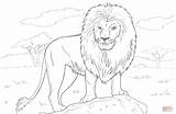 Coloring Lion Pages Löwen Printable Choose Board Kids Der African Animal Print sketch template