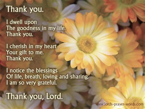 prayers  gratitude  god give