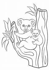 Koala Coloring Pages Mother Stock Baby Cute Little Her Illustration Depositphotos sketch template