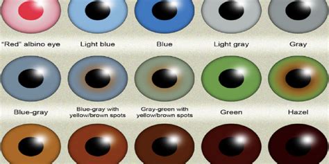 How To Do The Eye Color Chart Tiktok Trend Indy100