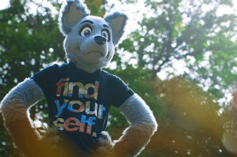 What It’s Like To Have Sex As A ‘furry’