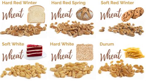 classes  wheat  wheat   eatwheat