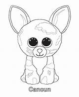 Beanie Ty Boo Coloring Pages Boos Dog sketch template