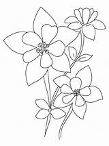 Columbine Coloring Flower Pages Flowers Drawing Getdrawings Color Print Recommended Designlooter Printable Template sketch template