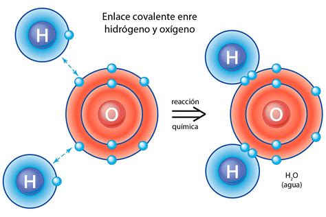 diferencia los compuestos ionicos  los covalentes  moleculares