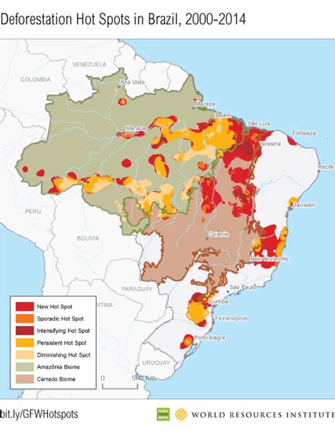 new deforestation hot spots in world s largest tropical