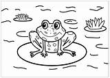 Coloring Frogs Kids Pages Cute Children sketch template