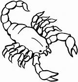Scorpion Coloring Pages Choose Board Animal sketch template