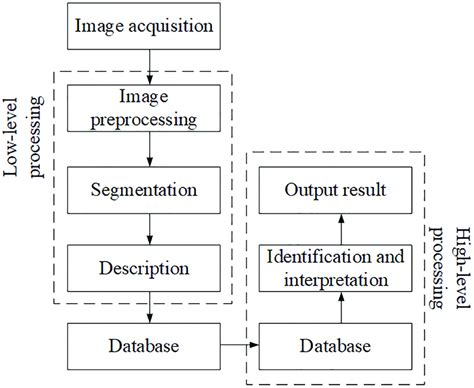 schematic diagram   image analysis process