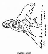 Dolfijn Dolfijnen Delfine Coloriage Ausmalbilder Dieren Dauphin Delphin Sirene Lumba Malvorlagen Mewarnai Golfinhos Colorare Mandala Delfini Ausmalbild Animaatjes Dauphins Coloriages sketch template