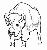 Bison Coloring Pages Bill Printable Buffalo Kids Bullet Coloriage Animaux Colorier Imprimer Nord Bills Color Getcolorings Print Dessins Et Animal sketch template