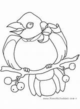 Coloring Pages Diana Princess Crow Little Pheemcfaddell Getcolorings Color Getdrawings sketch template