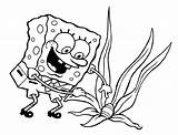 Squarepants Spongebob sketch template